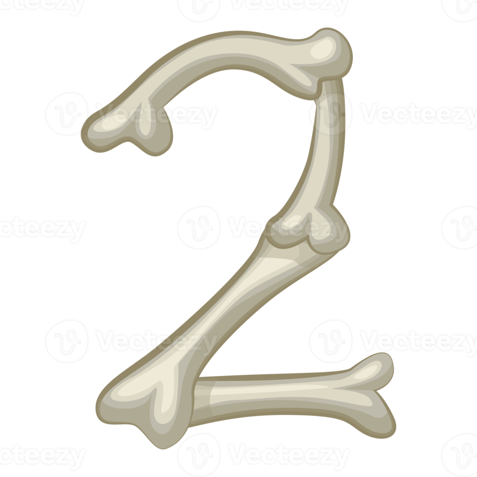 Bone number 2,digit two. Cartoon isoled number png
