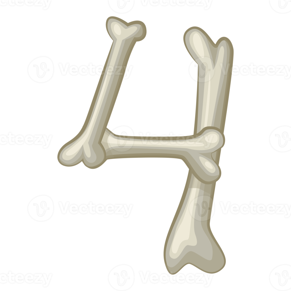 Bone number 4, digit four. Cartoon isoled number png