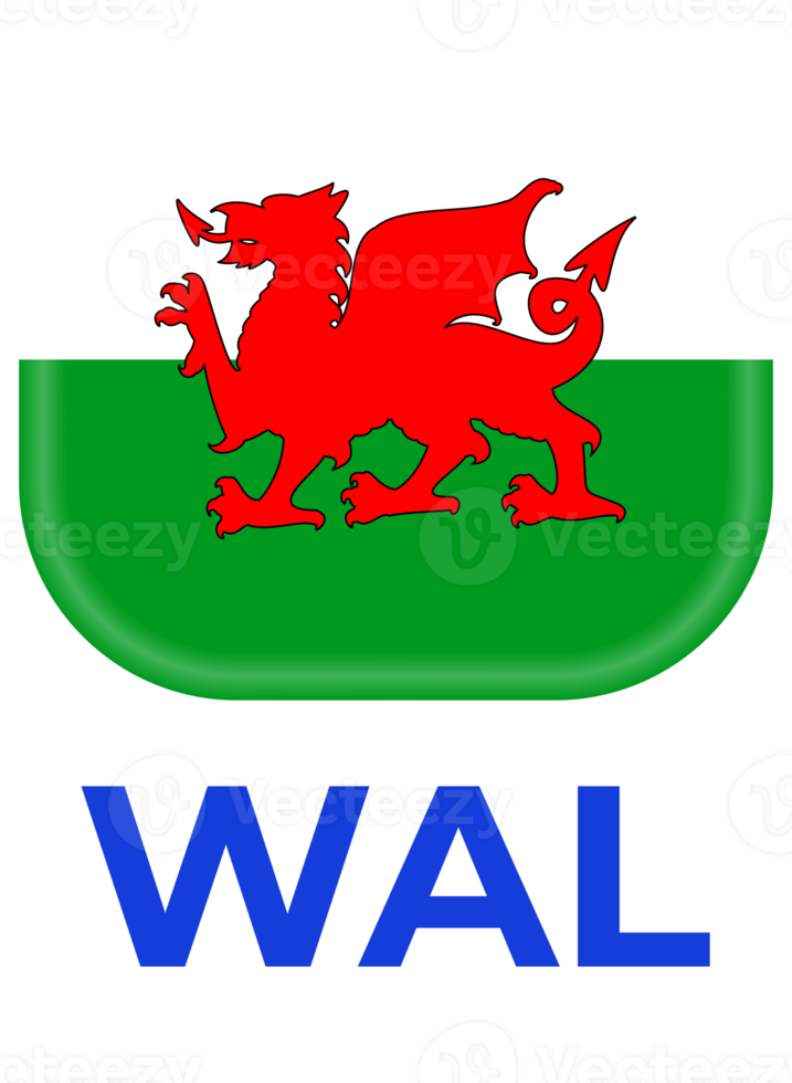 Wales vlag Amerikaans voetbal 2024 toernooi png