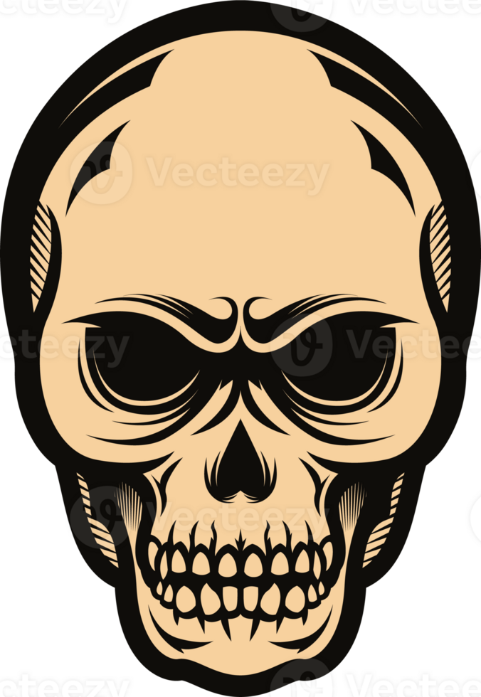 Dark Art Man Skull Vintage Illustration png