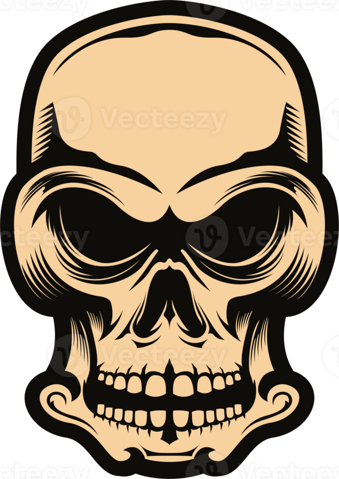 Dark Art Man Skull Vintage Illustration png