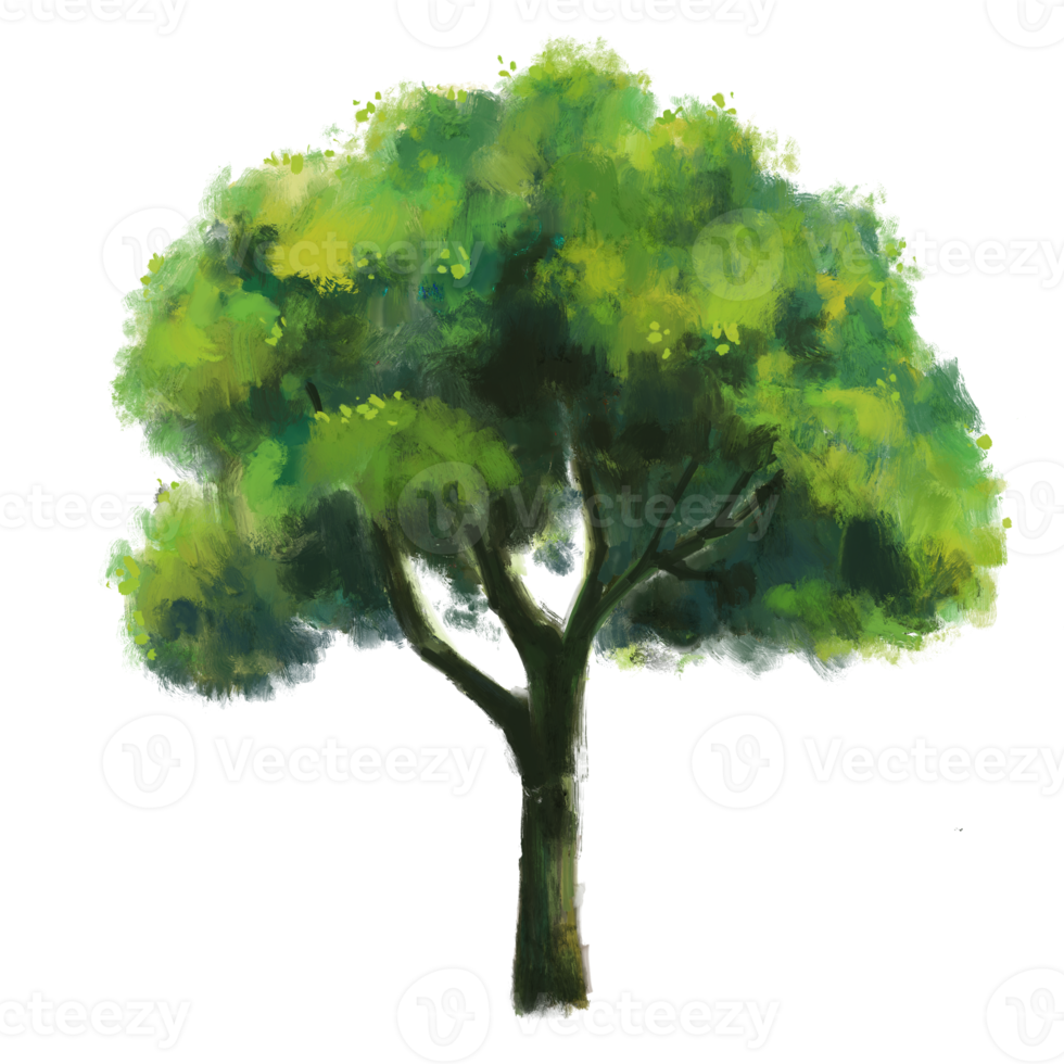 Tree with an isolated background.Garden plant element illustration.Natural object painting png