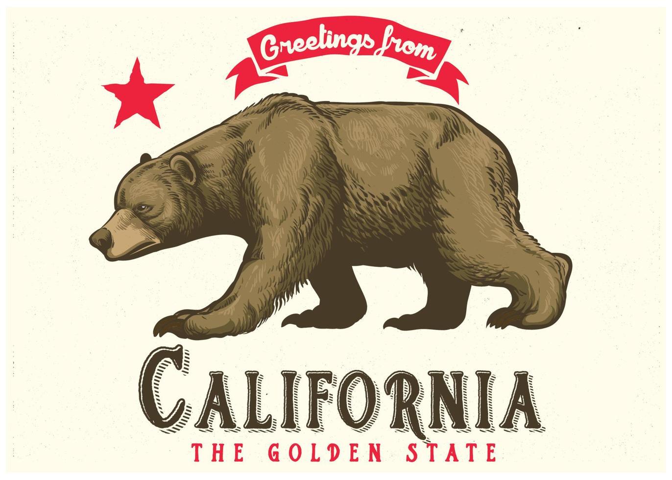 saludos desde California con marrón oso vector