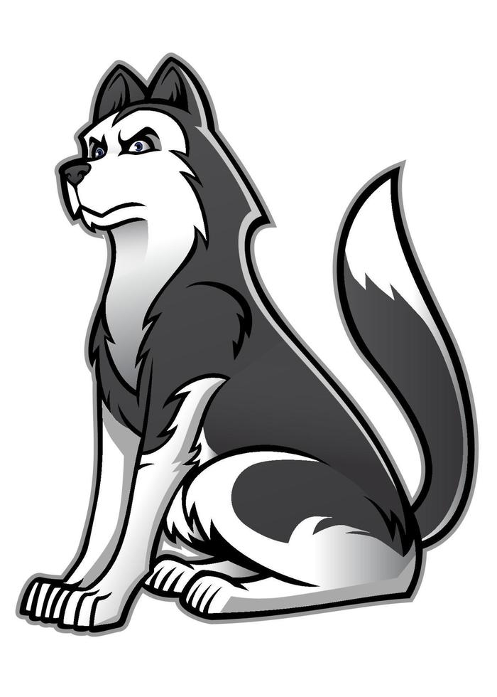 Siberian husky dog vector