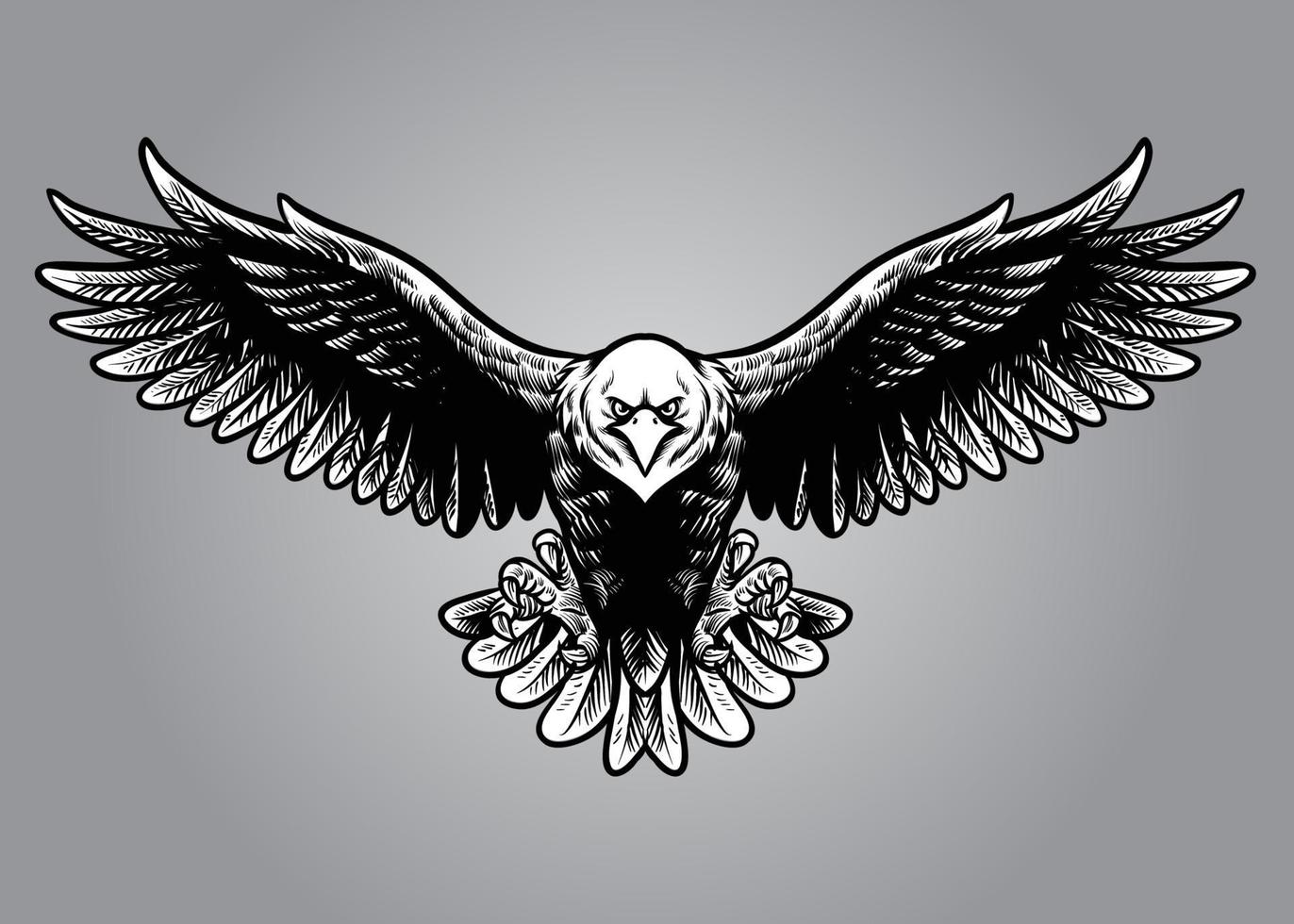 hand drawing style of eagle vector