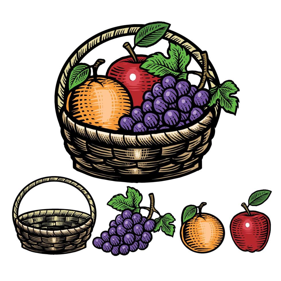 mano dibujo estilo de Fruta en el cesta vector