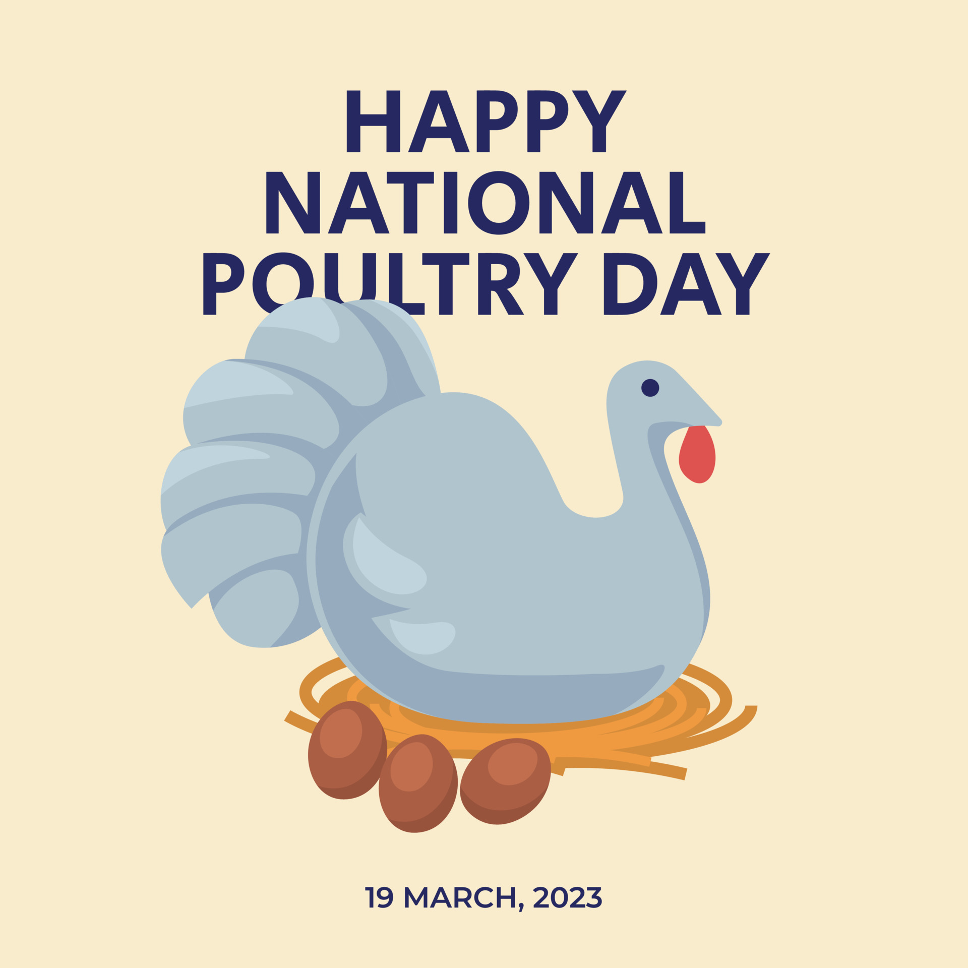 vector graphic of national poultry day good for national poultry day