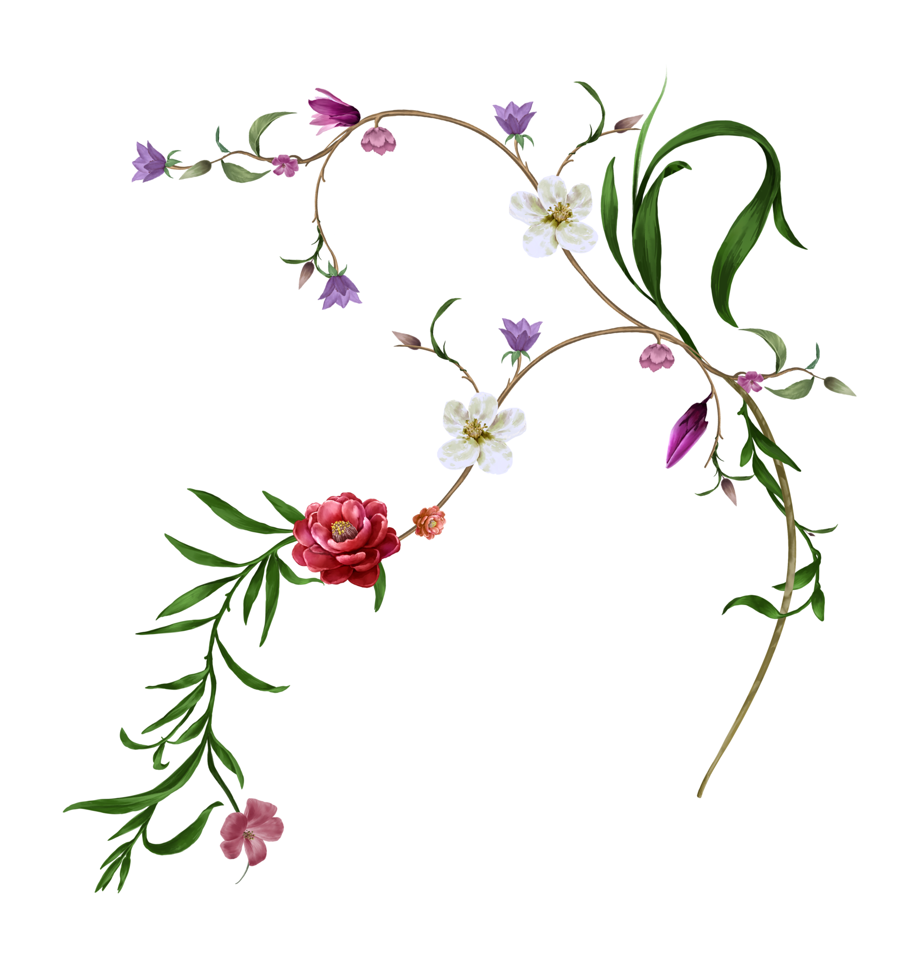Flora watercolor painting. Transparent png 21114993 PNG