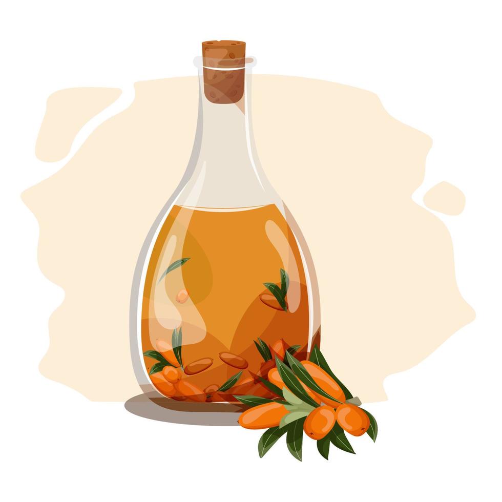 Sea buckthorn oil in a glass bottle, sprig and sea buckthorn berries isolated on transparent background. vector