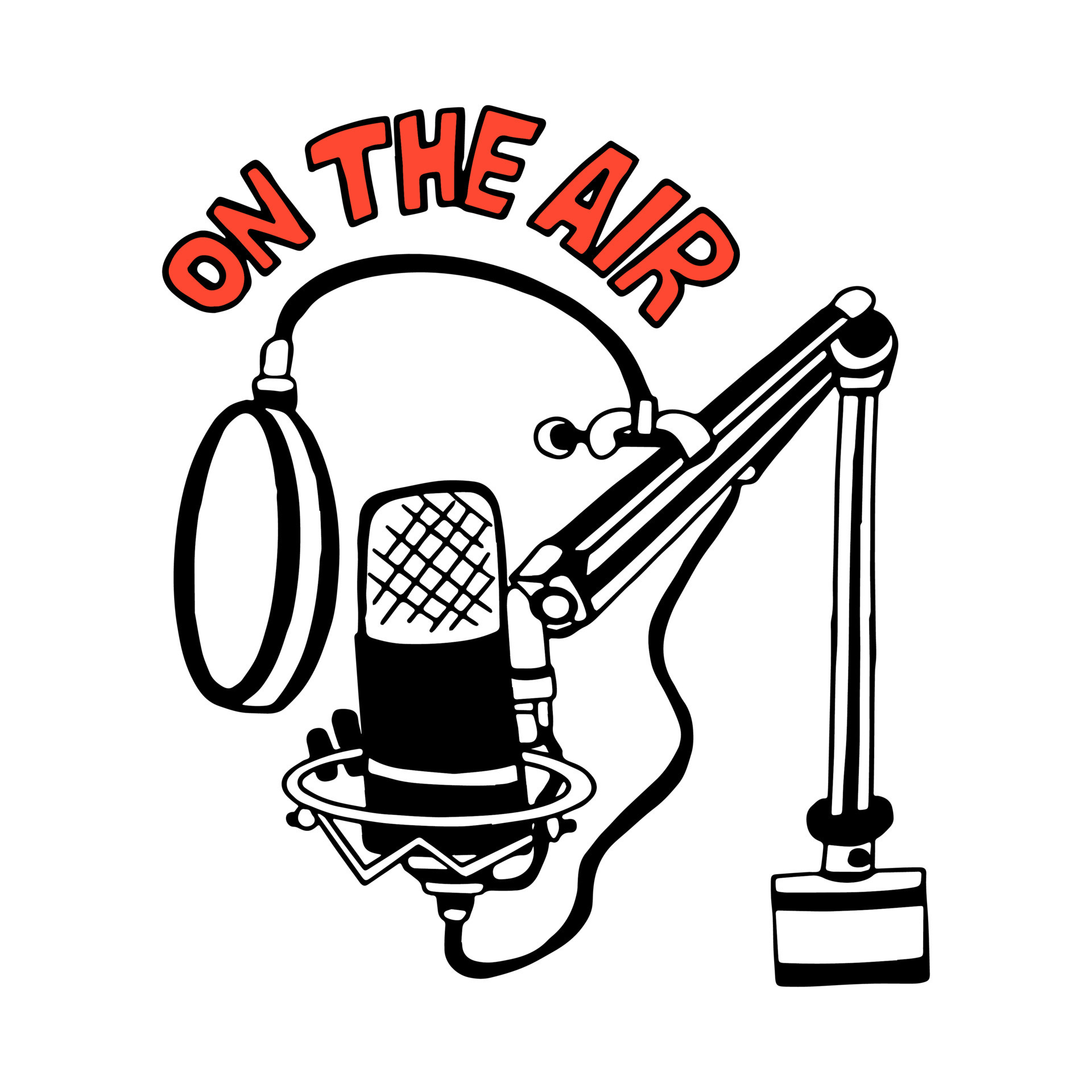 Condenser microphone for studio voice recording. The concept of sound