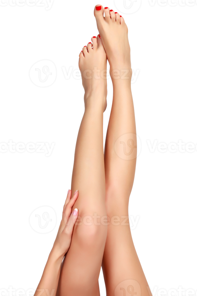 Woman legs, skin care concept png