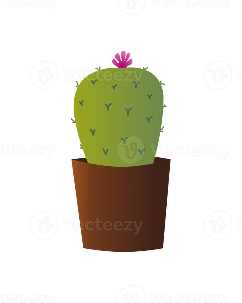 Small Bulbous Green Cactus with Pink Flower in Brown Pot png