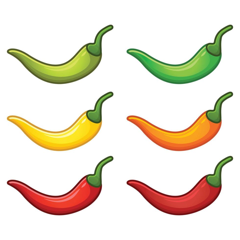 Set of jalapeno chili, isolated on white background. Vector cartoon flat design illustration collection template. Fresh green,yellow,orange,red chili