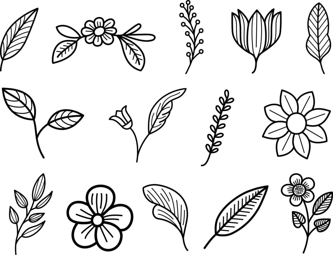 A Flower Set Collection Doodle vector