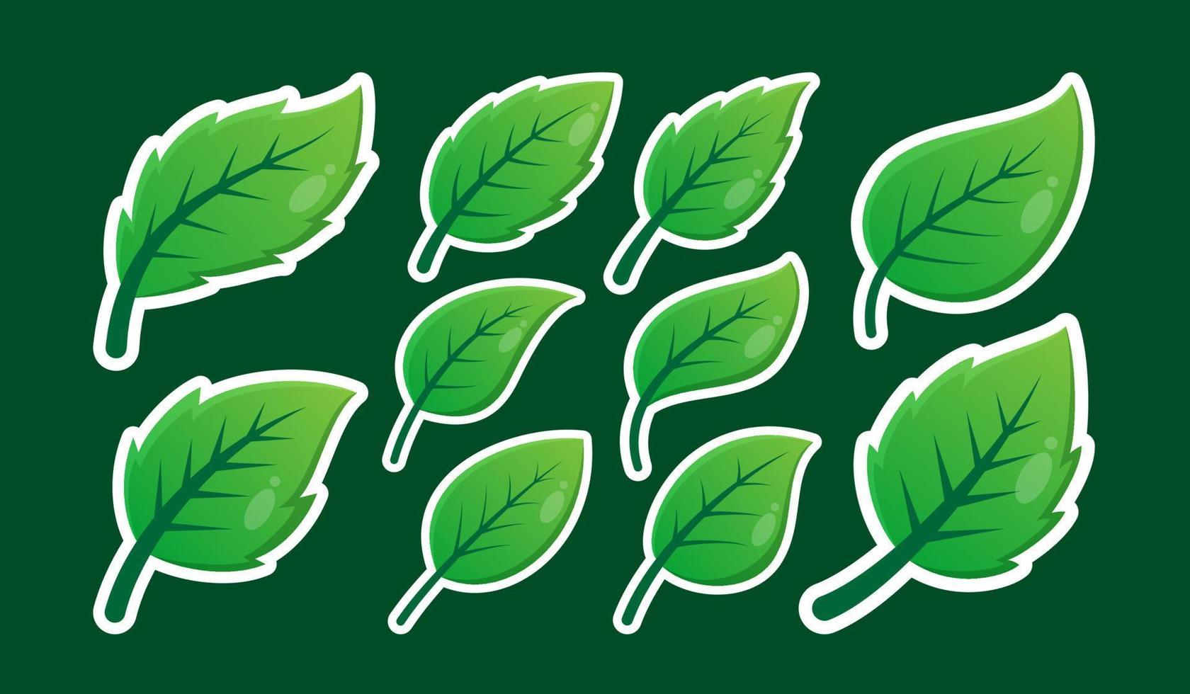 Green Leaves design vector illustration