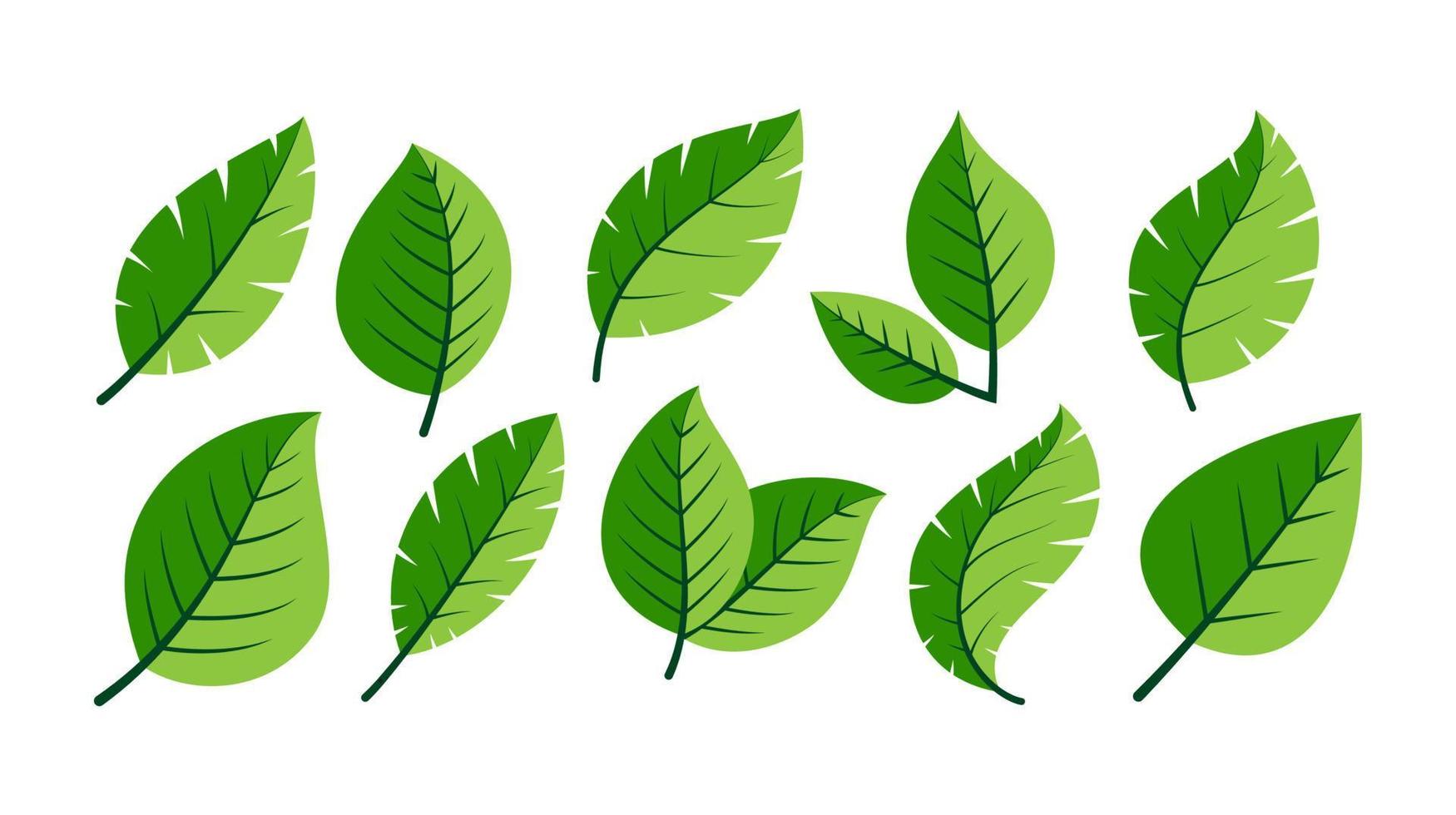 verde hojas icono conjunto vector