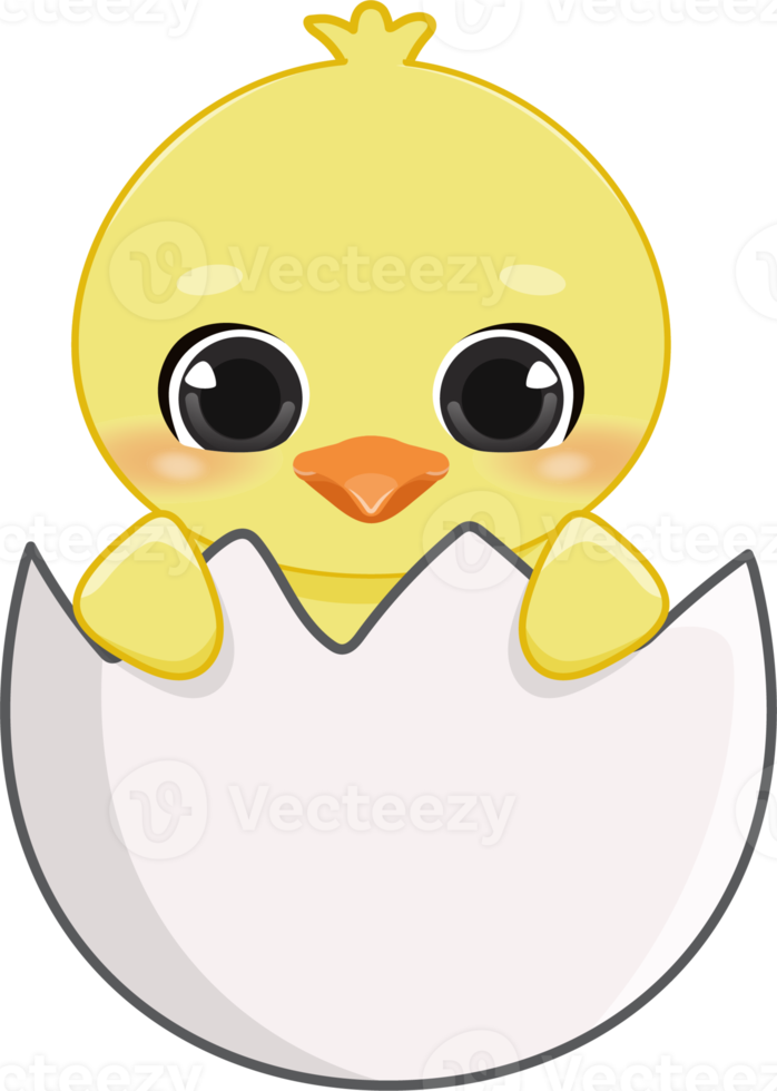 Happy Easter Day with cute chick. Funny yellow chicken cartoon character PNG