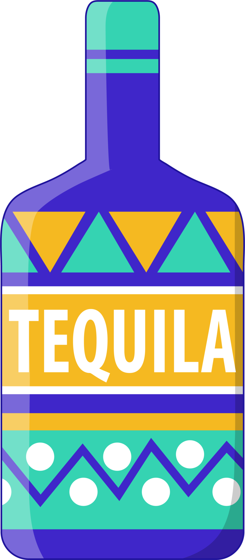 Tequila Bottle Mexican Art Design Colorful Flat Icon PNG 21125709 PNG