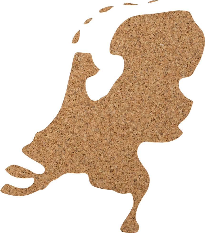 Netherlands cork wood texture cut out on transparent background. png