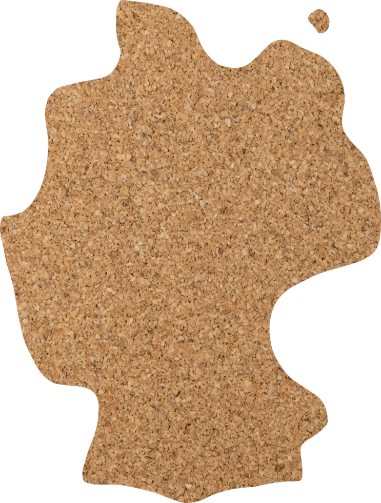 Germany cork wood texture cut out on transparent background. png