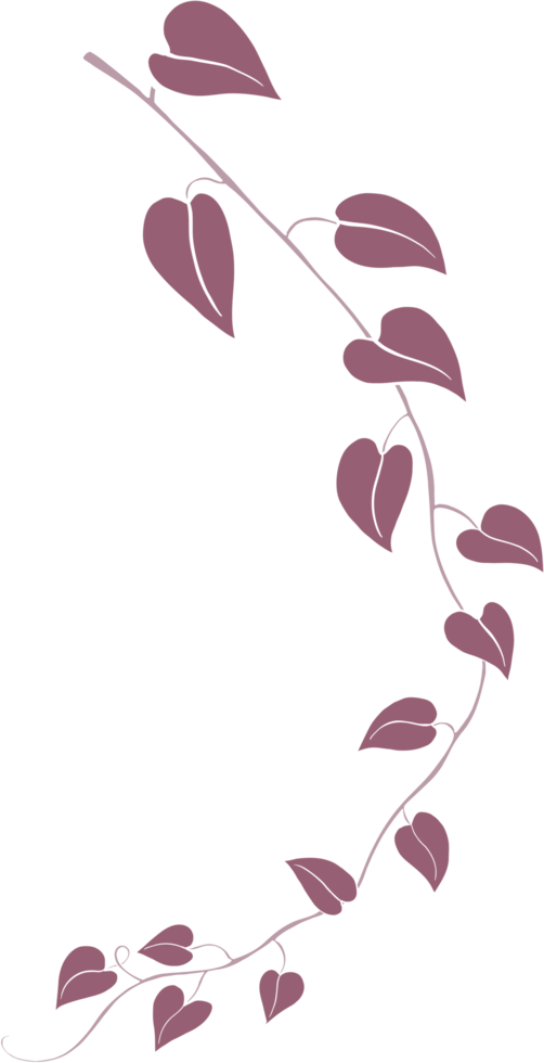 Simplicity ivy freehand drawing png