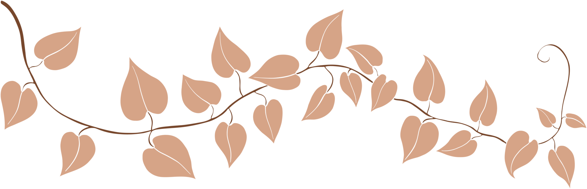 Simplicity ivy freehand drawing png