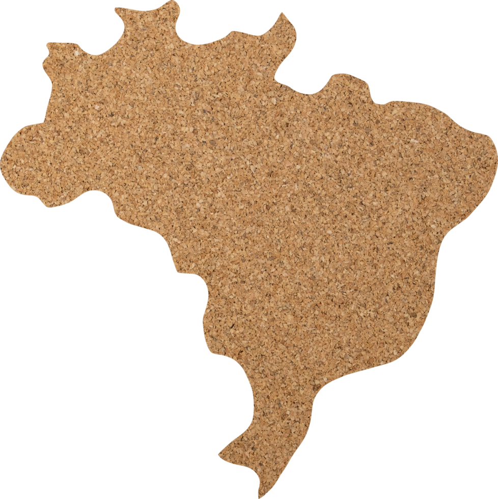 Brazil cork wood texture cut out on transparent background. png