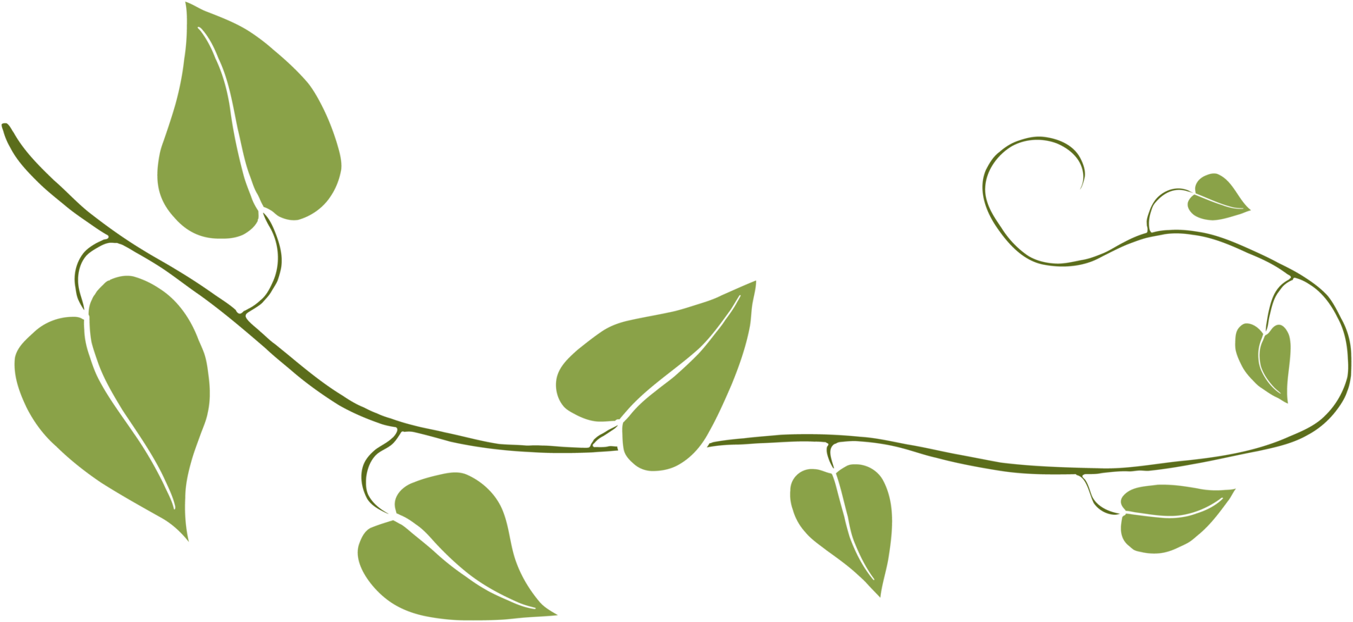 Simplicity ivy freehand drawing png