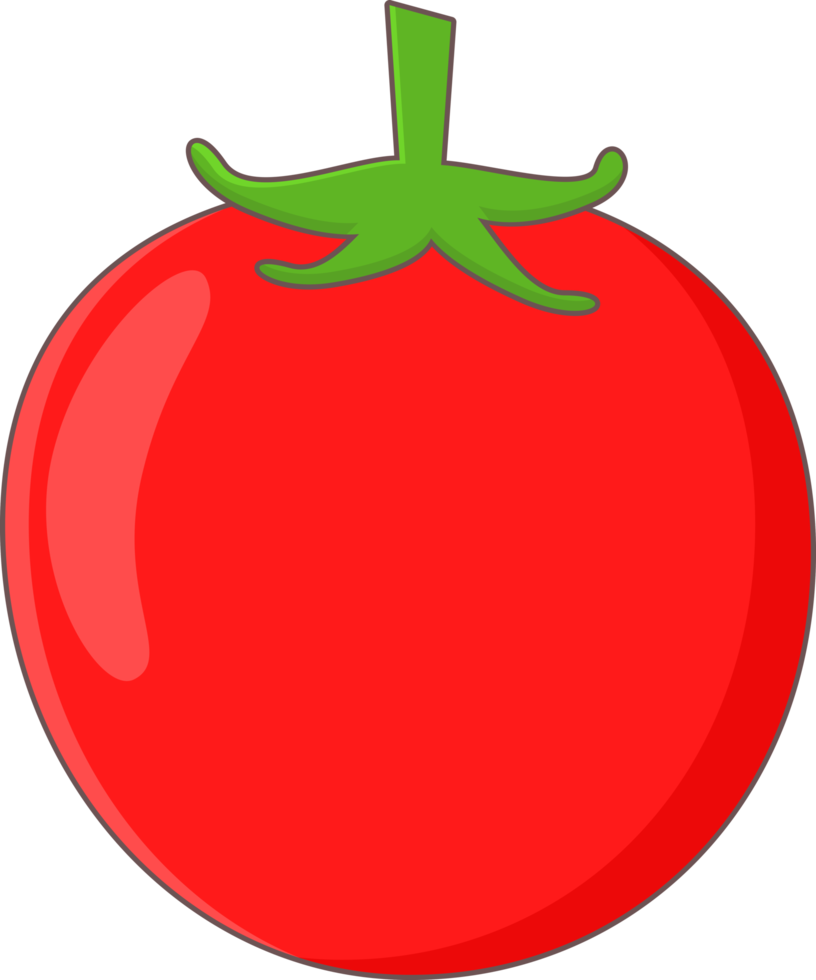 tomate icono png