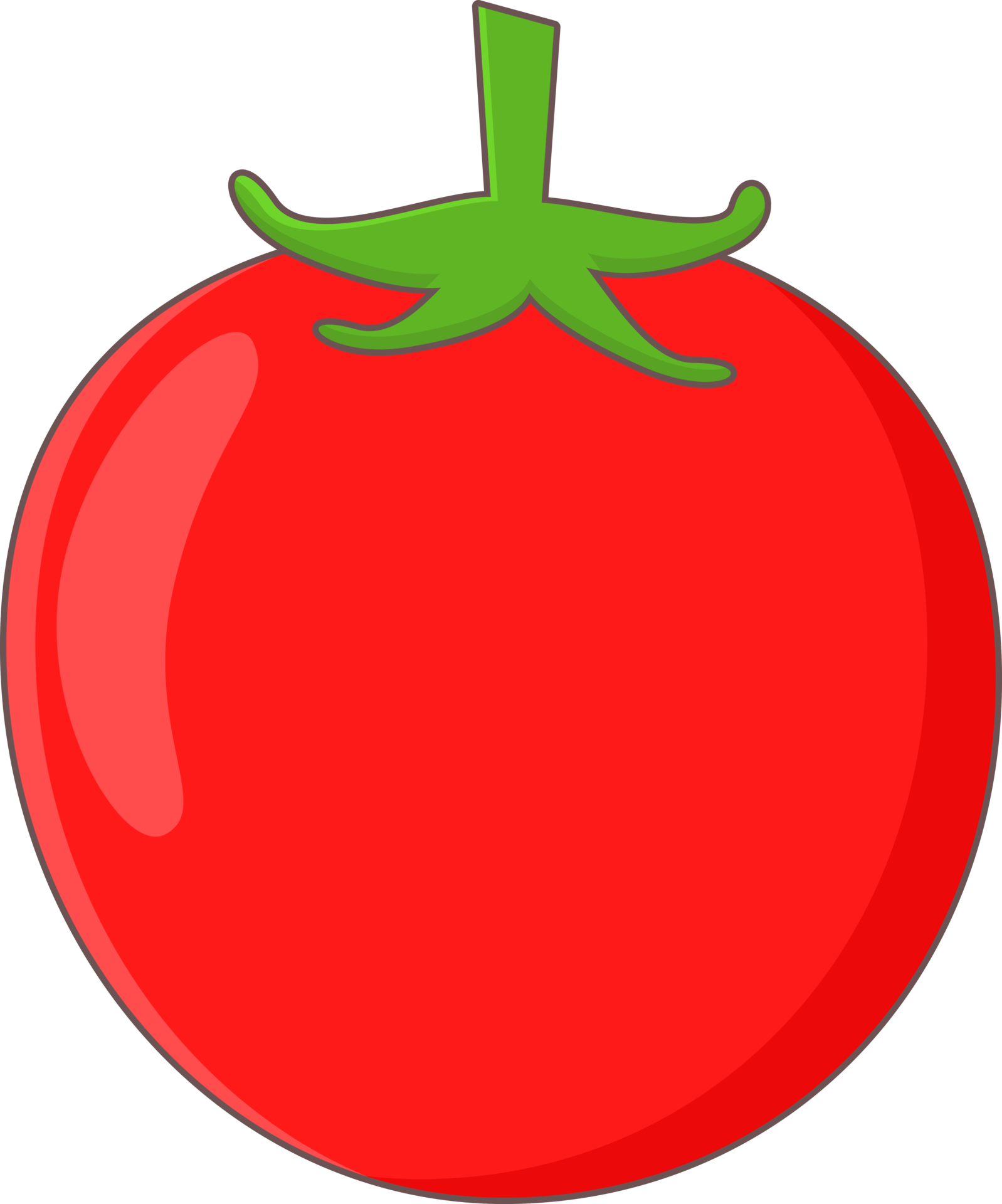 tomato icon png 21126754 PNG