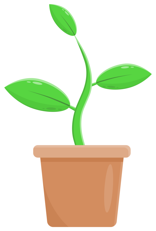 plant in pot sticker png