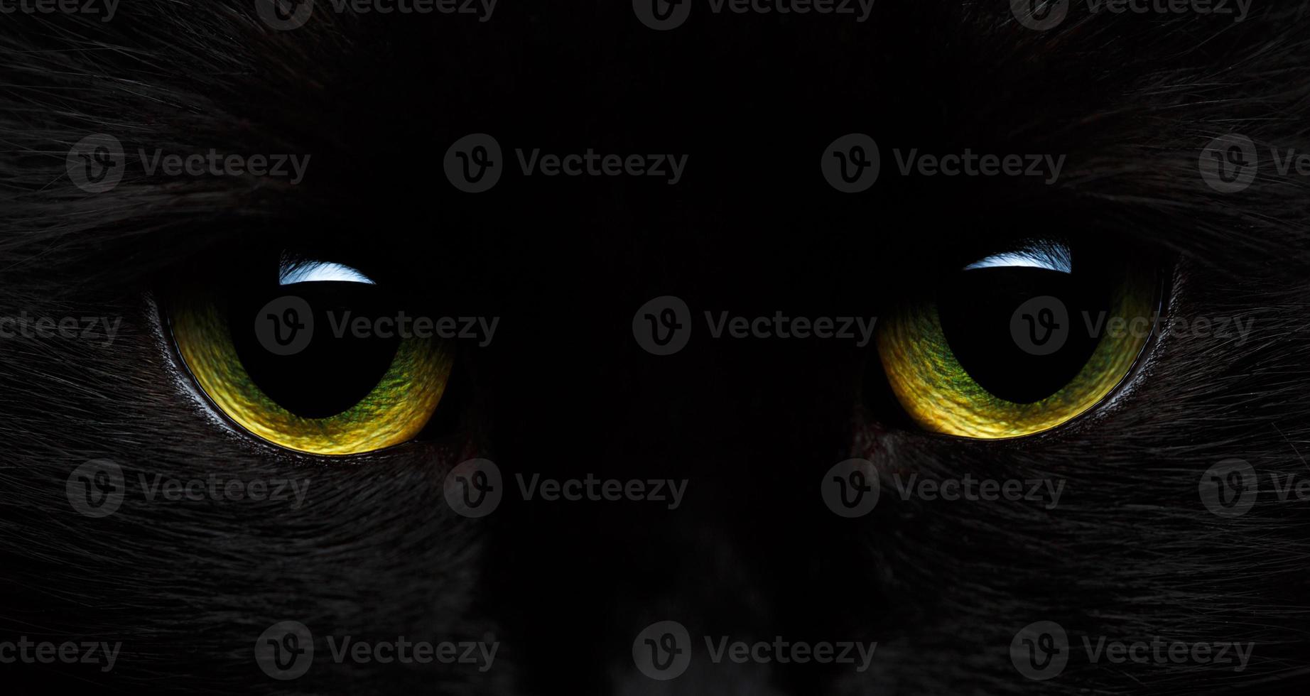 Yellow-green eyes of a black cat close-up photo