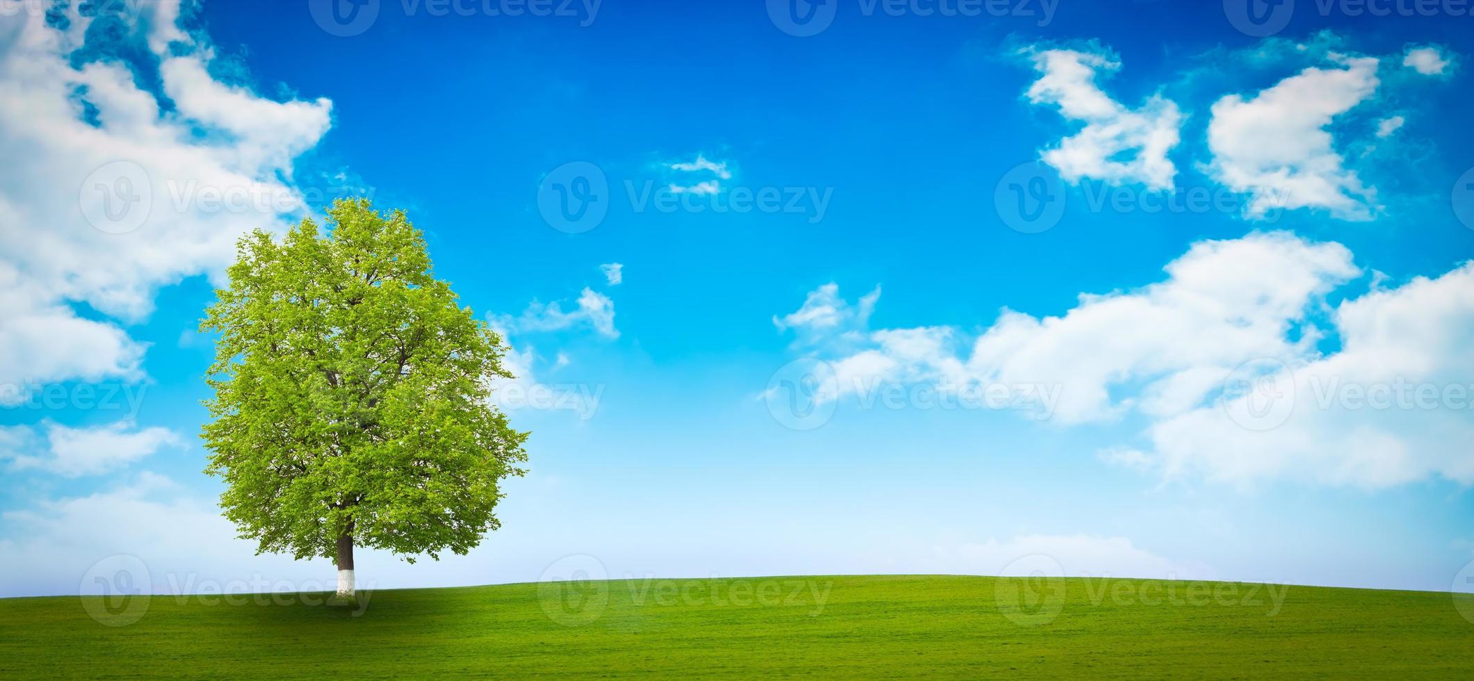Nature background concept photo