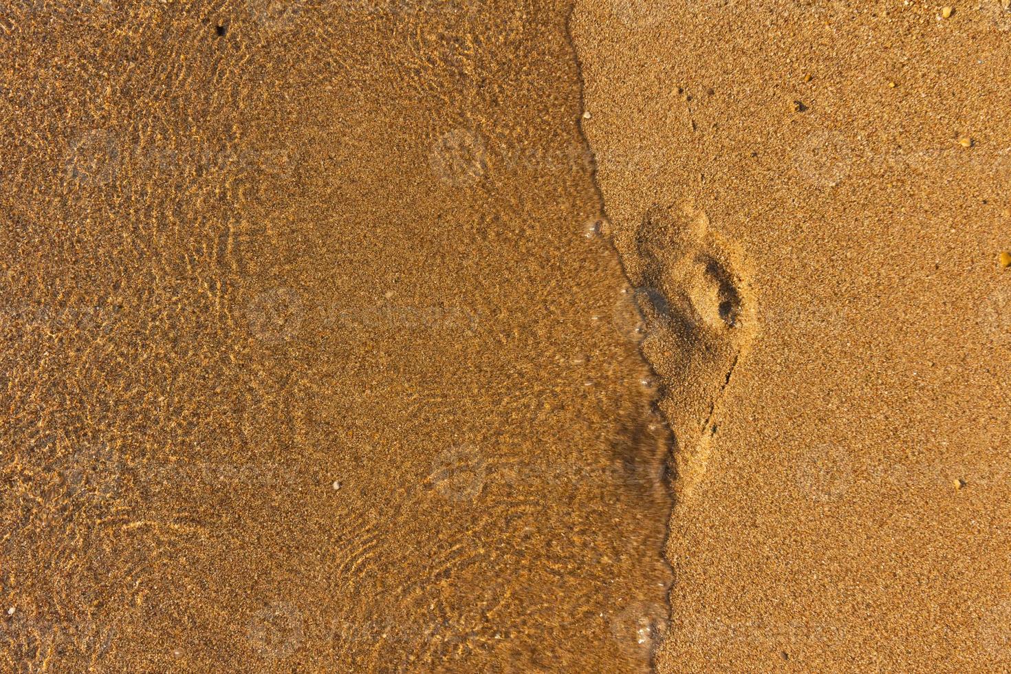 Footprint in the sand photo