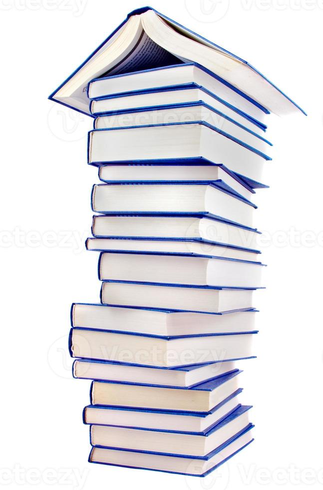 House books on white background photo