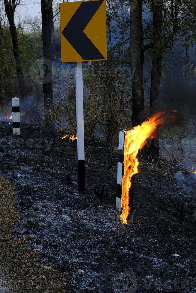 The Roadside Pillar pole is burning with flames and there is smoke rising from the fire caused by wildfire photo