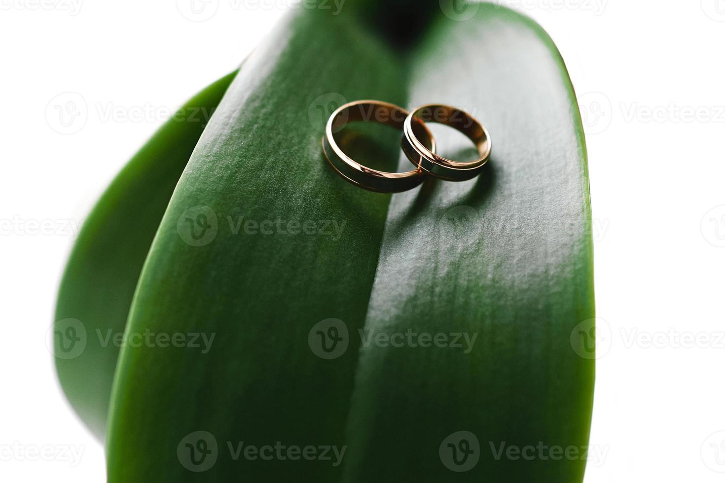 anillos de boda en una hoja verde foto