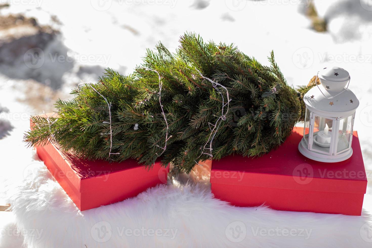 Red gift boxes, Christmas tree with garland, white lantern on white fluffy plaid outdoors in winter snowy day. Festive background. Holidays, presents, new year and celebration concept. copy space. photo
