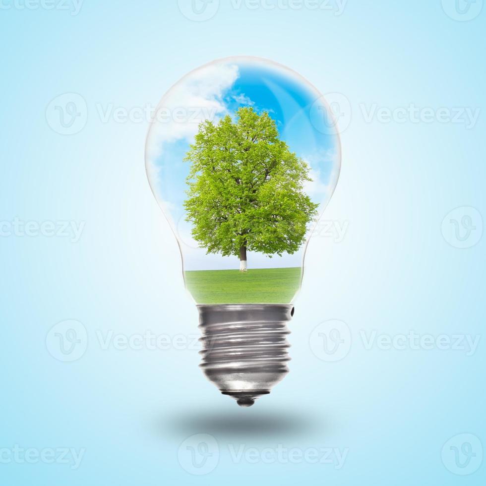 Light bulb with landscape inside photo