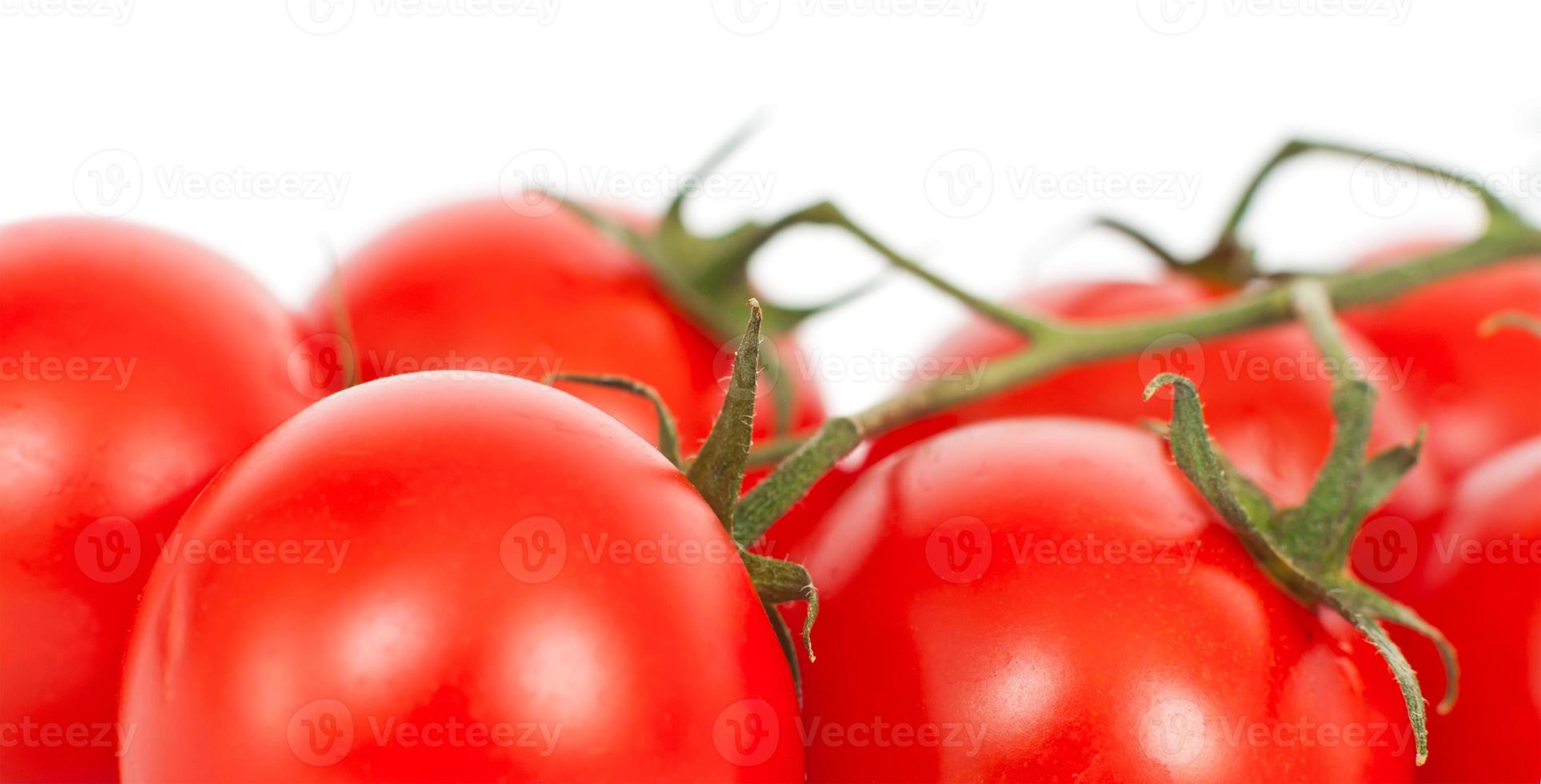 Tomatoes on a white photo