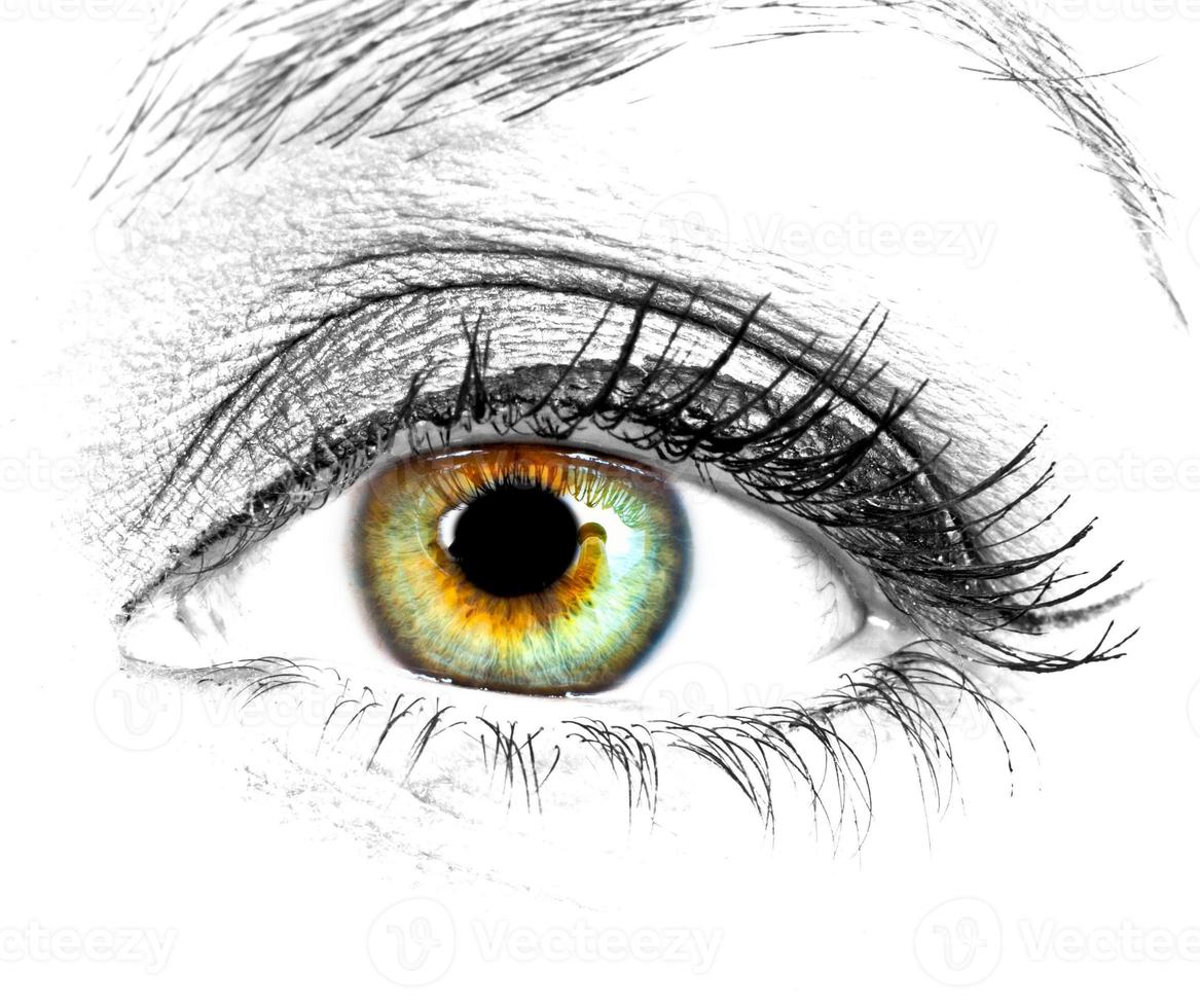 Beautiful Eye of Woman photo