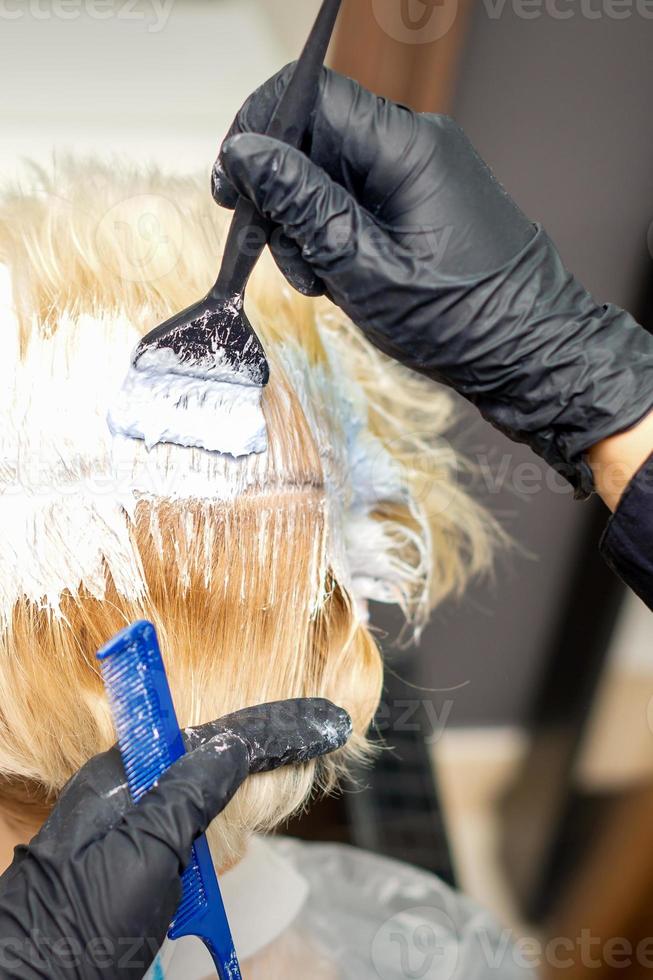 Hair stylist dyeing hair of woman photo