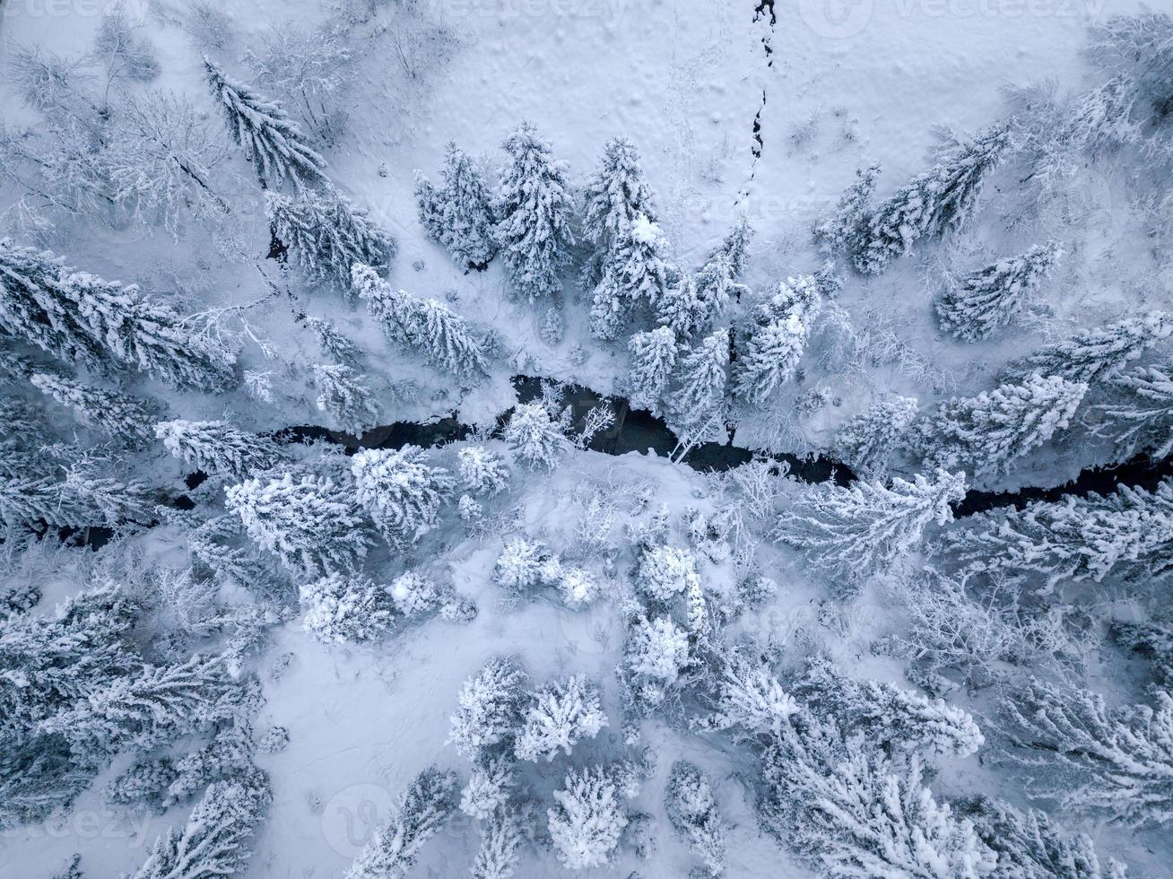 Top view of winter mountain river surrounded by trees and banks of snow-covered photo