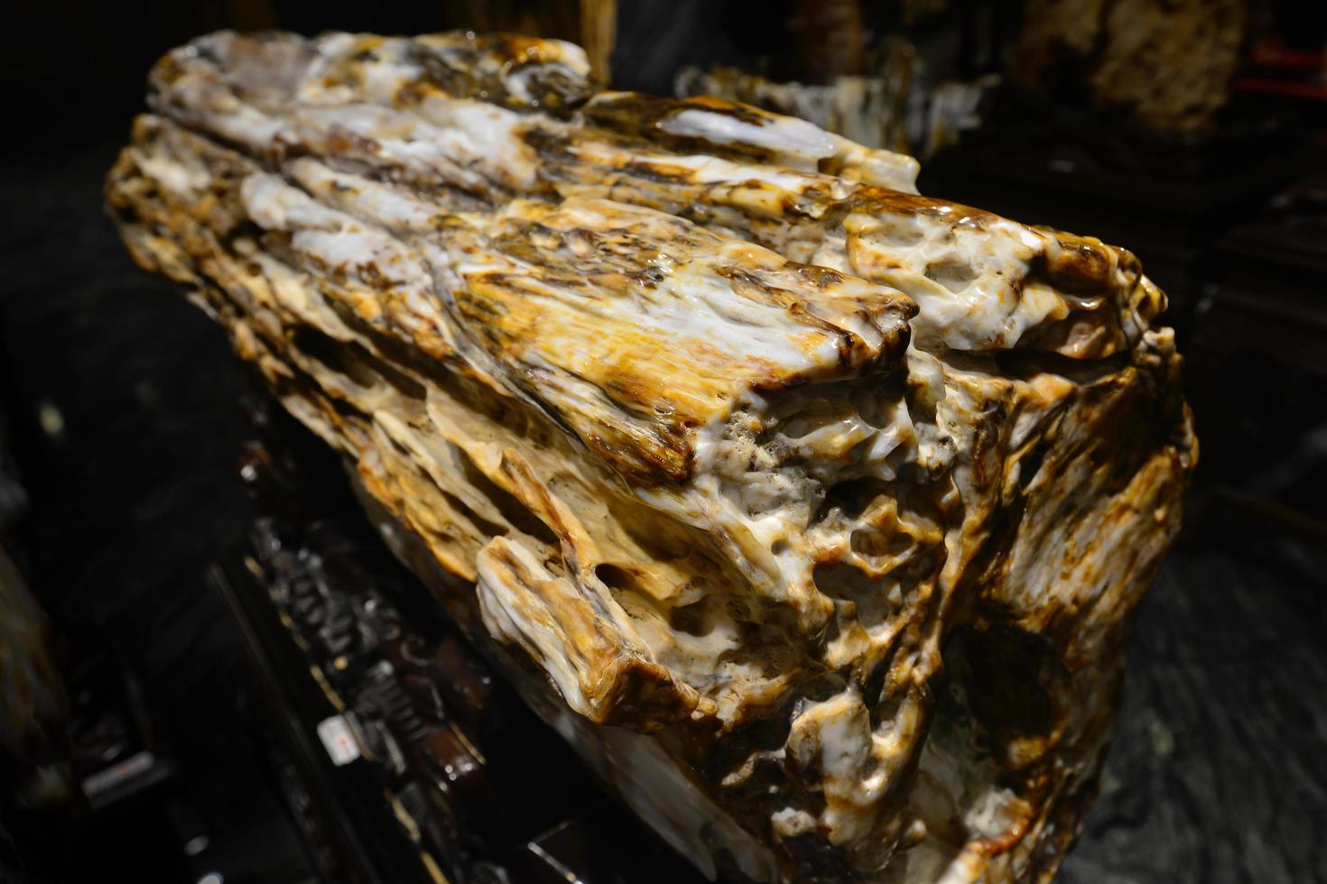 Petrified wood in Xinjiang, China, this beautiful fossil shows the texture and luster of jade photo