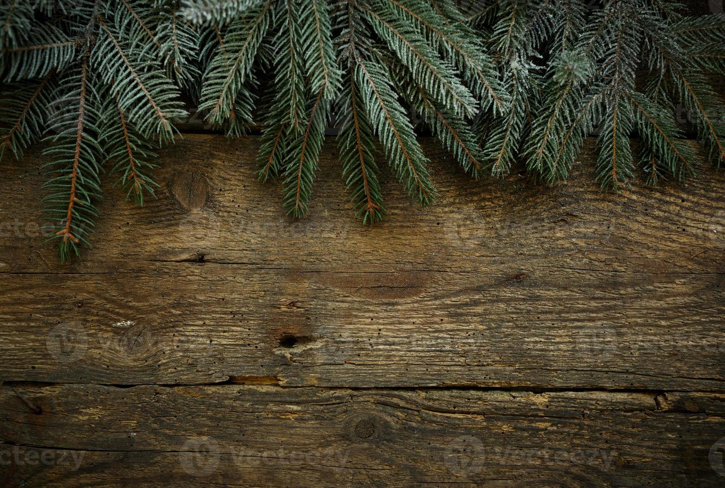 Christmas tree branches on wooden texture photo