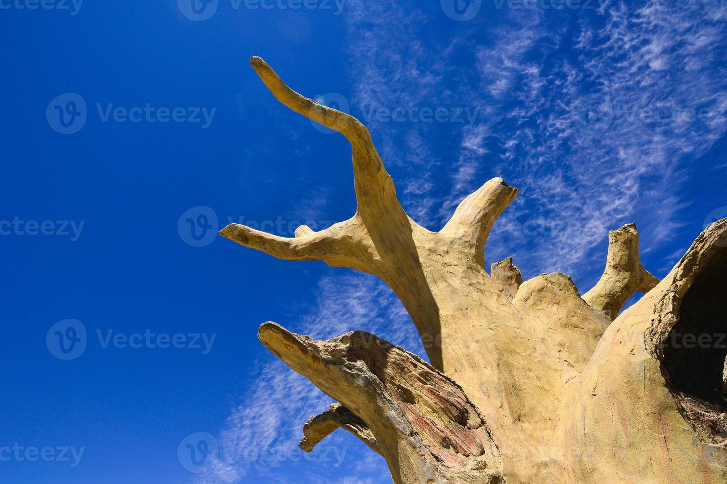 Silicified wood from the Jungar Basin in Xinjiang, also known as wood fossils photo