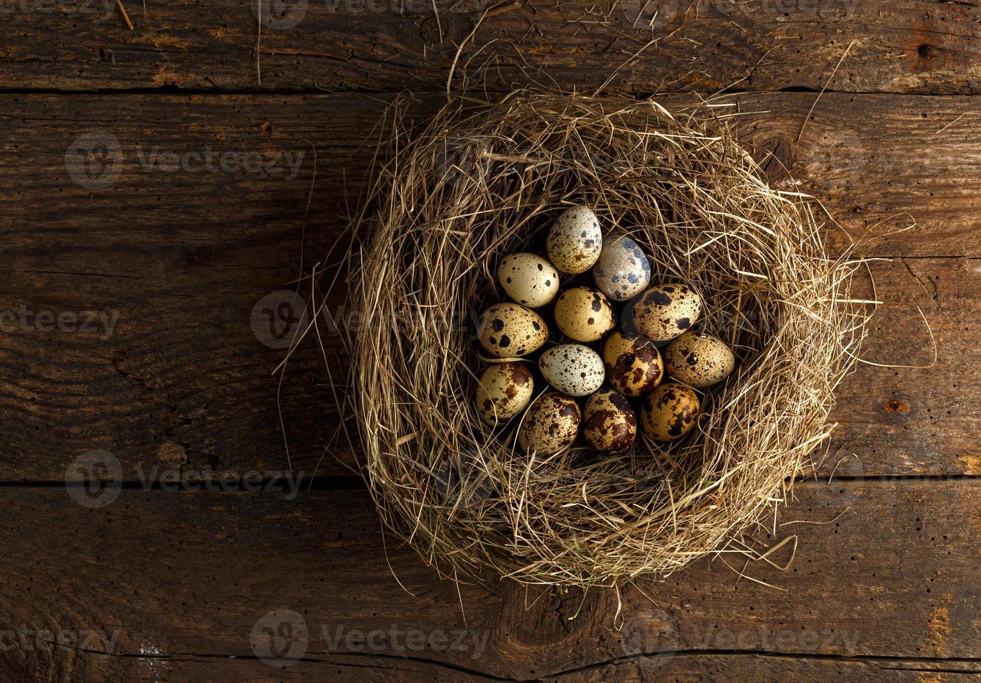 codorniz huevos en un nido en un de madera rústico antecedentes foto