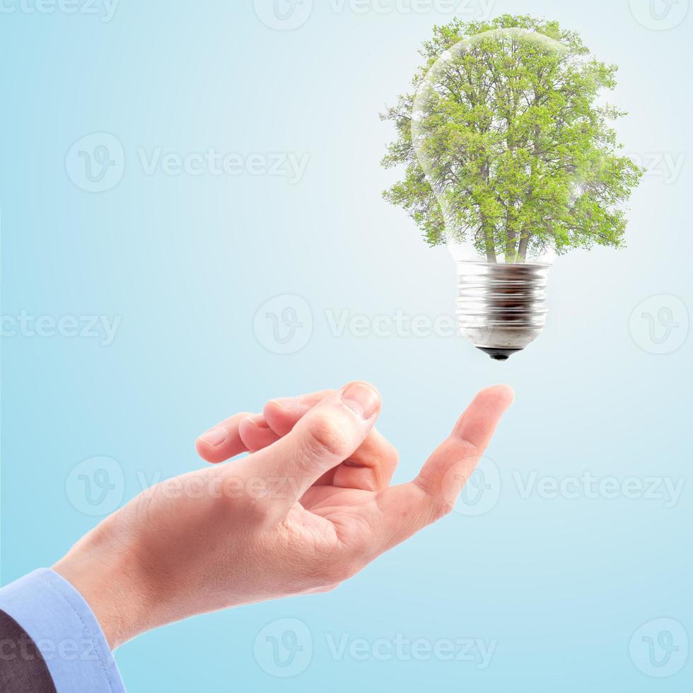 Hand with lamp and tree. photo