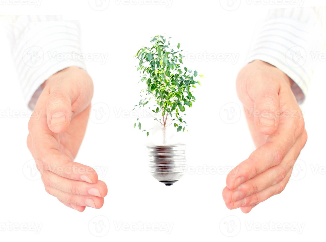 Green energy concept. photo