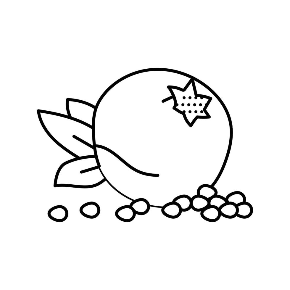 pomegranate whole grain leaf line icon vector illustration